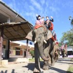 Read more about the article โรงเรียนบ้านรวมมิตร สพป.เชียงราย เขต 1 MOU สโมสร อะคาเดมี่ ลีโอ เชียงราย ยูไนเต็ด พัฒนานักกีฬาระดับเยาวชน และขี่ช้างนิเทศโรงเรียน ส่งเสริมการท่องเที่ยวฤดูหนาว