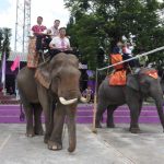 Read more about the article สพป.ชร.1 ชวน รองประธานคณะกรรมาธิการการศึกษา สภาผู้แทนราษฎร์ “ขี่ช้างนิเทศโรงเรียน” เก็บข้อมูลเตรียมสัมมนาฯ ยกร่าง พ.ร.บ.การศึกษาแห่งชาติ