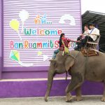 Read more about the article สพป.เชียงรายเขต 1 ขี่ช้างนิเทศโรงเรียนบ้านรวมมิตร