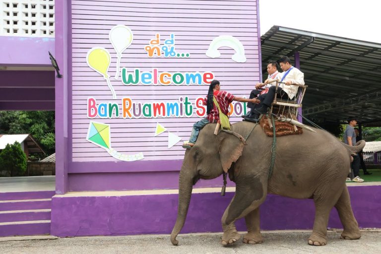 Read more about the article สพป.เชียงรายเขต 1 ขี่ช้างนิเทศโรงเรียนบ้านรวมมิตร